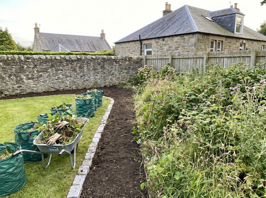 Garden mid-clearance showing the transformation